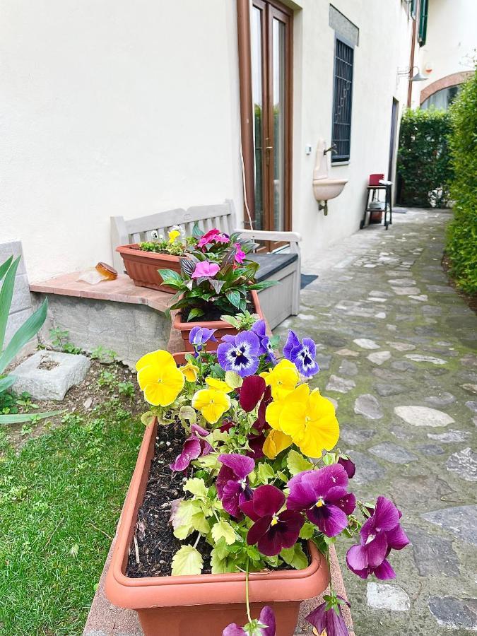 Dalu Florence Apartment Davide - Private Car Park 15 Minutes To The City Center 外观 照片