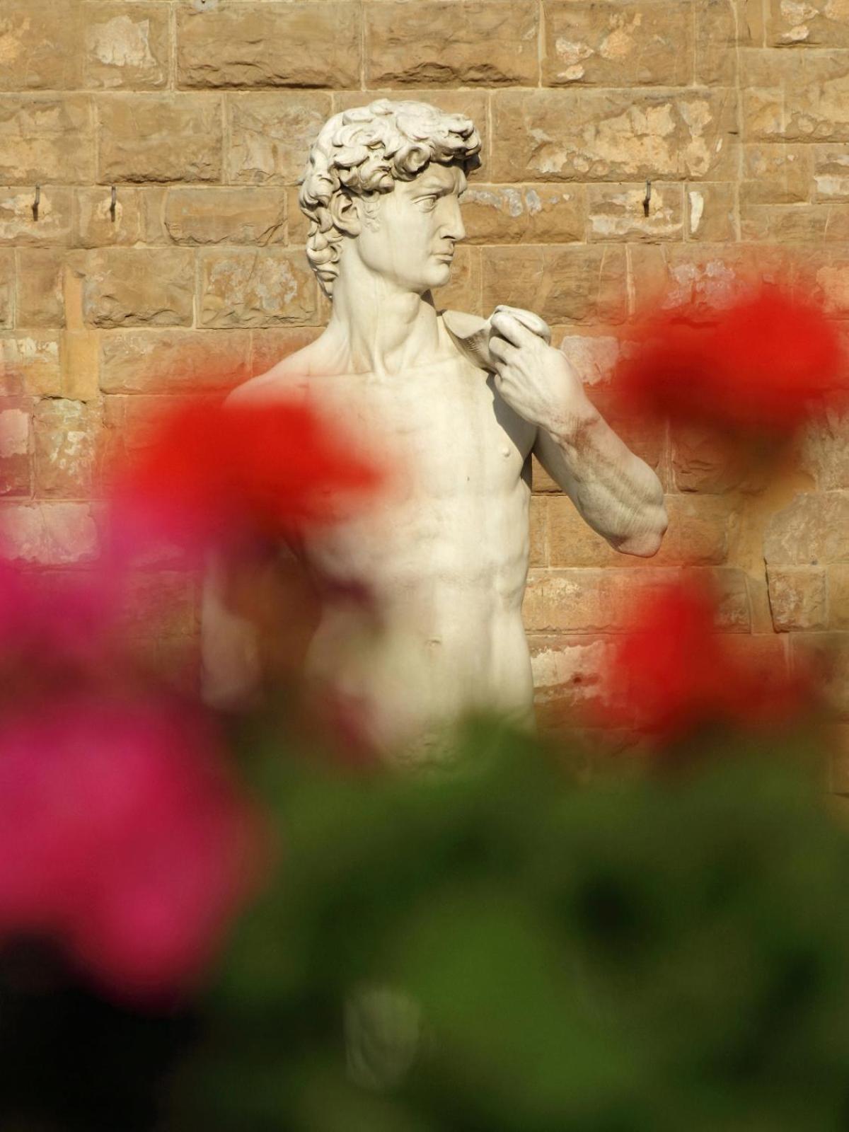 Dalu Florence Apartment Davide - Private Car Park 15 Minutes To The City Center 外观 照片
