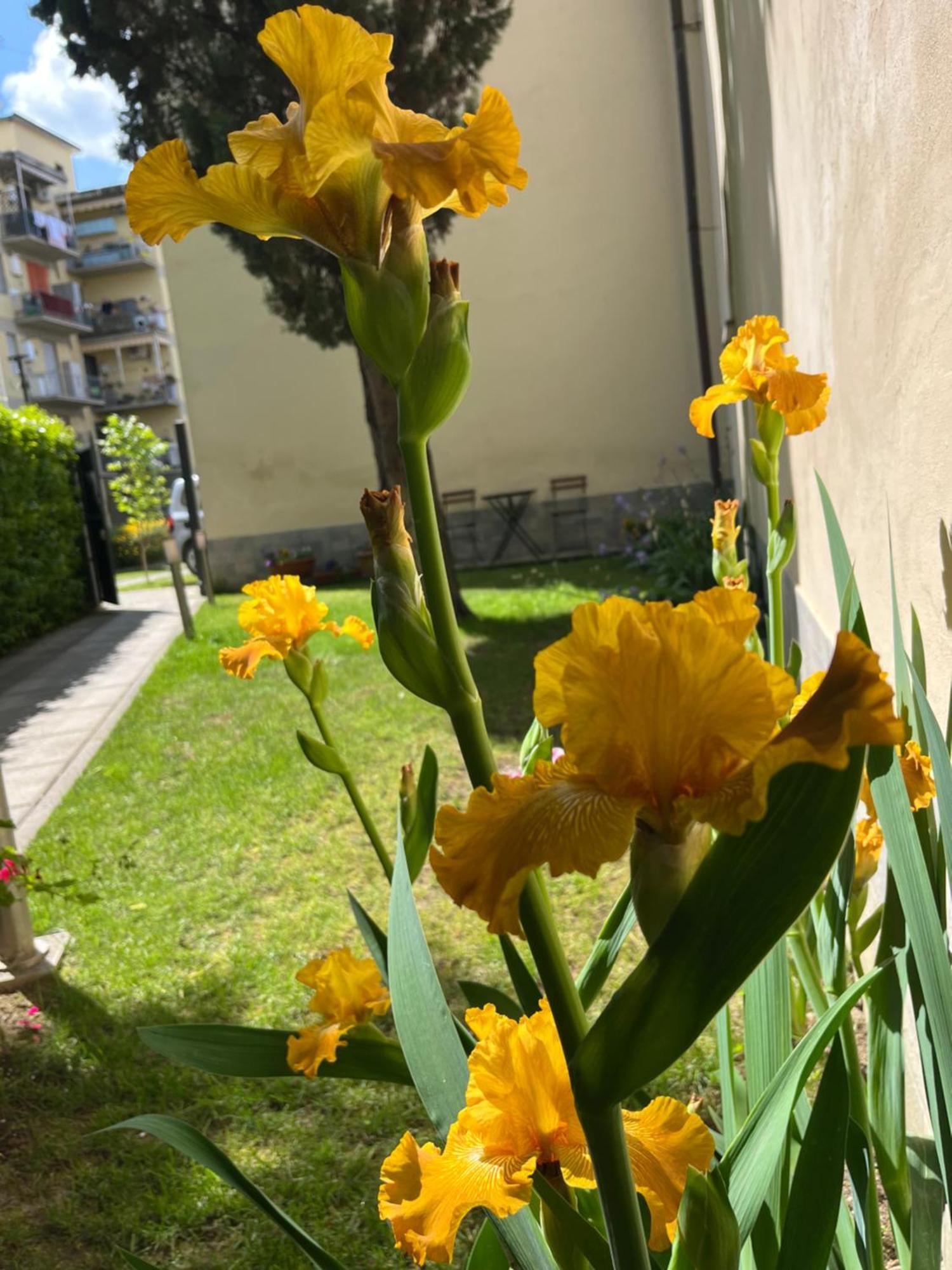 Dalu Florence Apartment Davide - Private Car Park 15 Minutes To The City Center 外观 照片